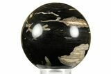 Polished Petrified Wood (Schinoxylon) Sphere - Wyoming #370893-1